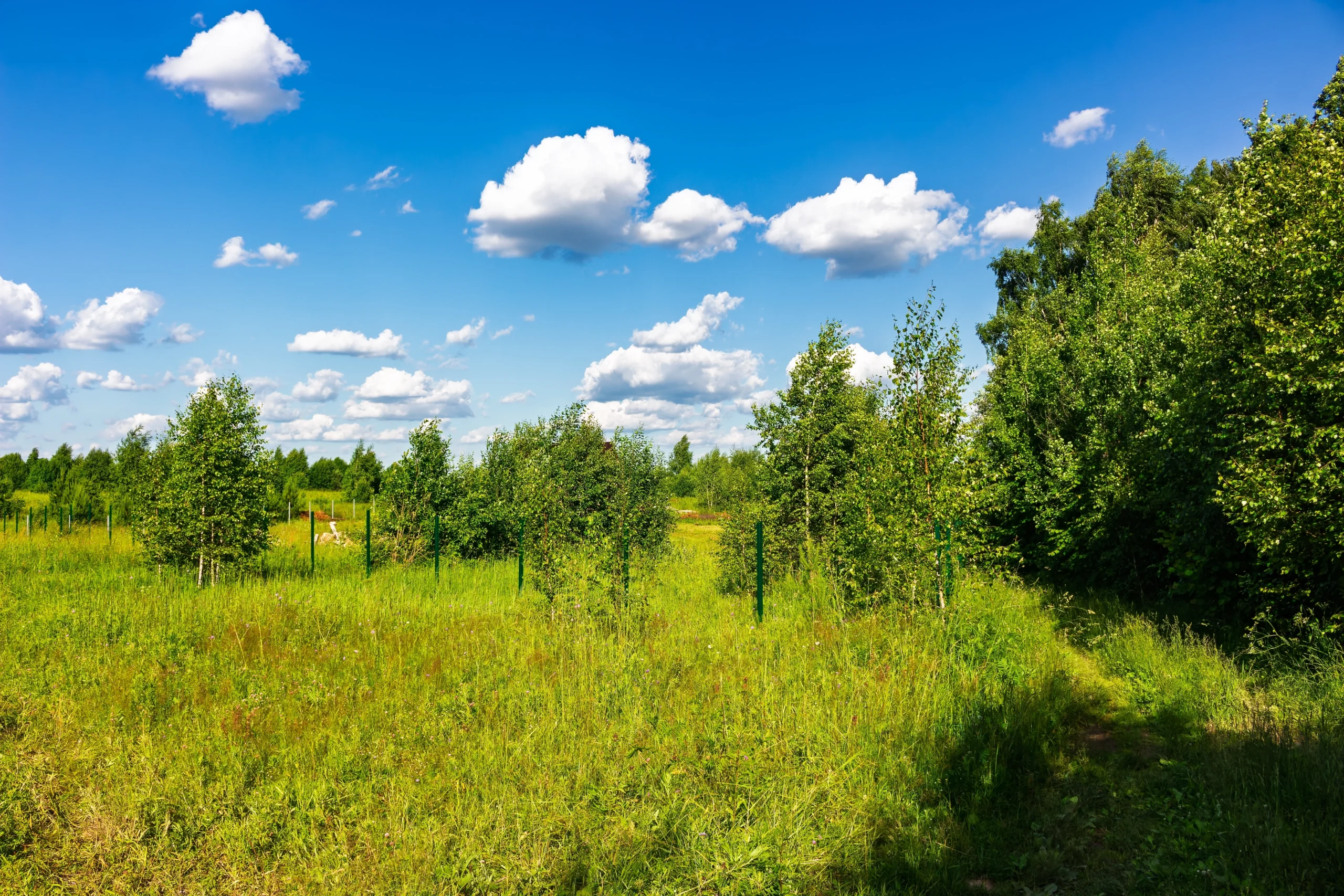 Vacant Land Insurance North Carolina